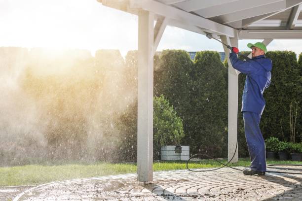 Best Solar Panel Cleaning  in Willis, TX