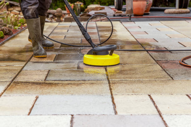 Best Gutter Cleaning  in Willis, TX